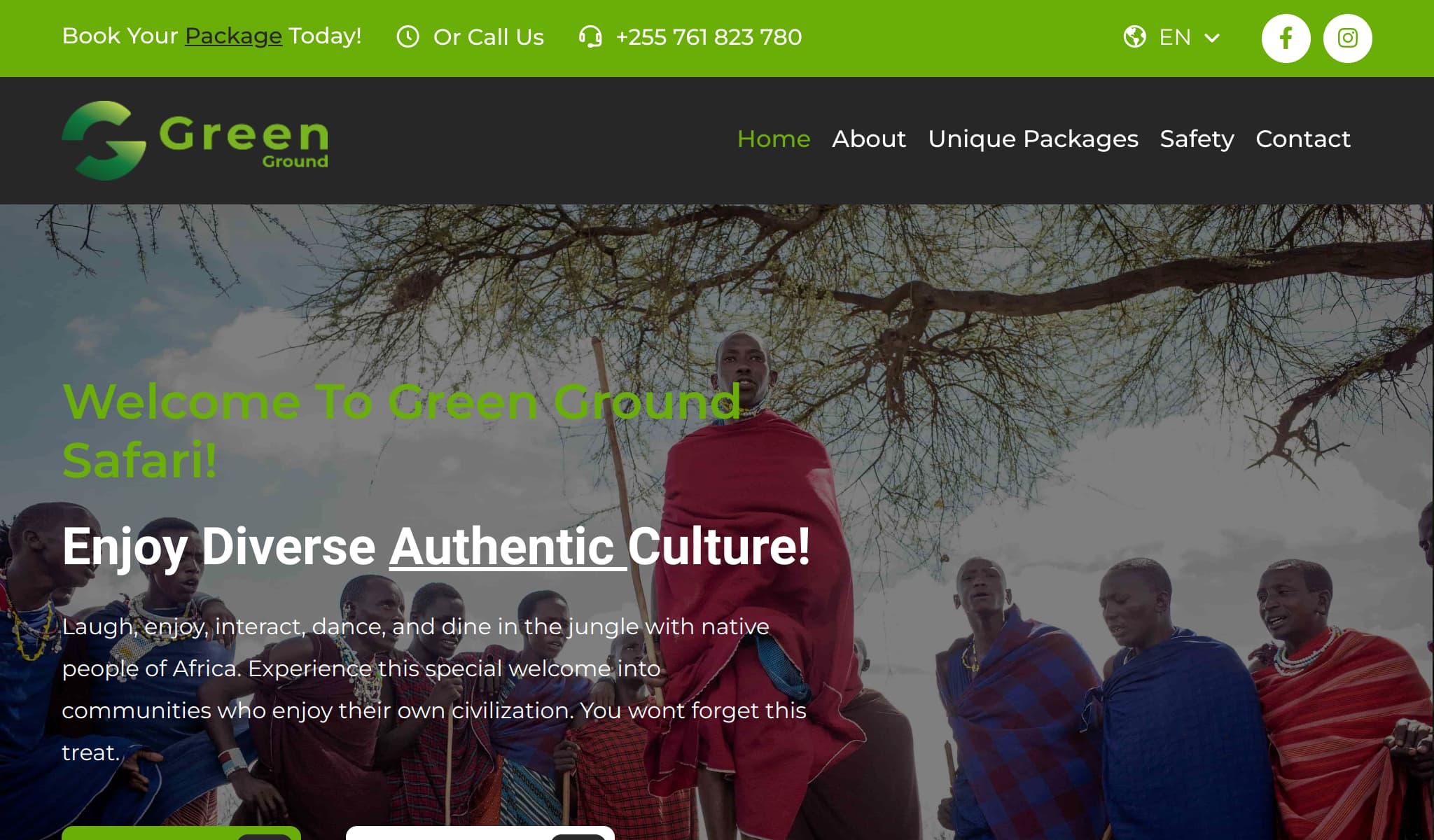 website project